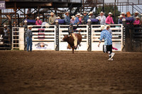 SAMPSON, COOPERDSC_1861.JPG