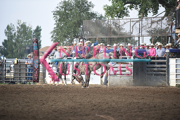 SANDQUIST, MARKDSC_1497.JPG