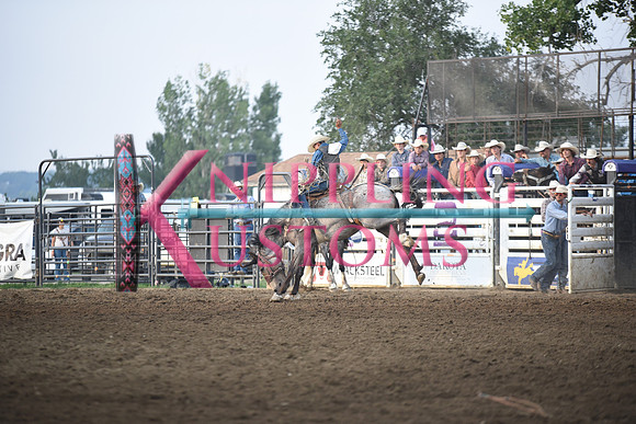 SANDQUIST, MARKDSC_1498.JPG