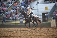 STEPHENS, GRACEYDSC_0701.JPG