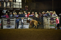 WILSON, GUSDSC_2945.JPG