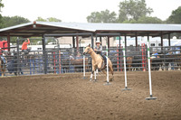 BEESON, SHADADSC_2285.JPG