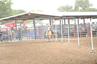 BEESON, SHADADSC_2290.JPG