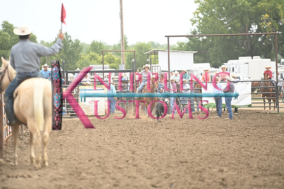 DEKNIKKER, KAILEYDSC_1214.JPG