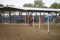 HINS, TALLEYDSC_1944.JPG