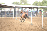 HINS, TALLEYDSC_1948.JPG