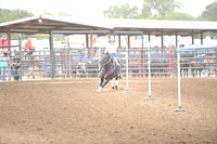 KNOLL, BROOKEDSC_2233.JPG
