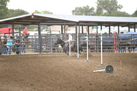 KNOLL, BROOKEDSC_2240.JPG