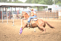 SHEARER, TAITYNDSC_2035.JPG