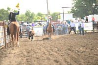 SHELBOURN, BAILEYDSC_1043.JPG