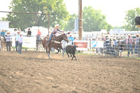 VAN WINKLE, PAISLEYDSC_1025.JPG