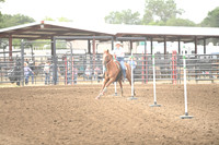 VINING, ASPENDSC_2380.JPG