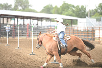 VINING, ASPENDSC_2383.JPG