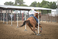 VINING, ASPENDSC_2384.JPG