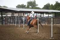 VINING, ASPENDSC_2385.JPG