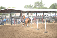 VINING, ASPENDSC_2386.JPG