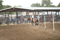 VINING, ASPENDSC_2387.JPG