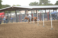 WILSON, PAESYNDSC_1871.JPG