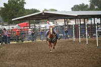 WILSON, PAESYNDSC_1872.JPG
