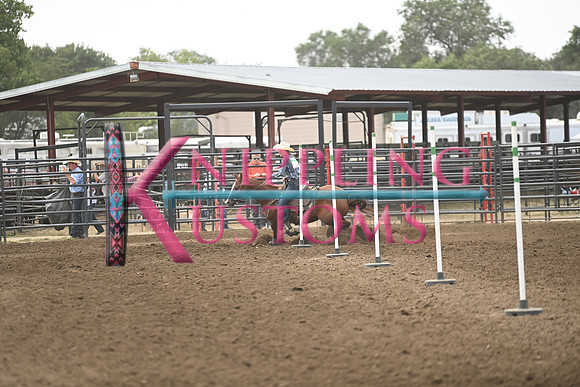 WOODWARD, MINDADSC_2354.JPG
