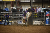 EDGAR, CASHDSC_8639.JPG