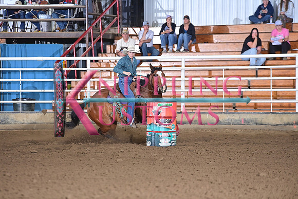 LEAVITT, DONNA JO DSC_6106.JPG