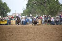 CONRY-OLSONDSC_9499.JPG
