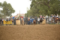 BLUEDOG-GERMANDSC_5704.JPG