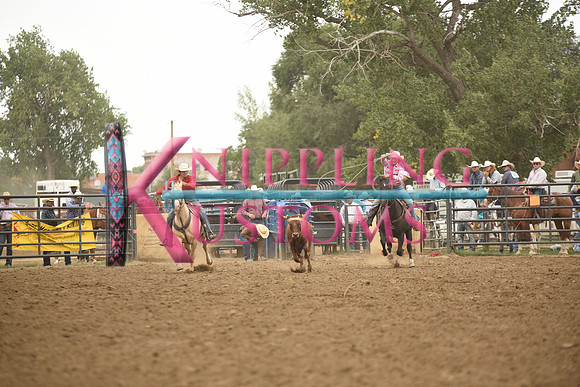 BLUEDOG-GERMANDSC_5706.JPG