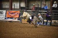 EDGAR, CASHDSC_8644.JPG