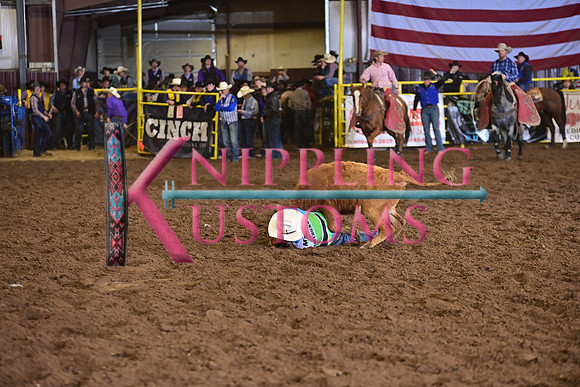 DUNKELBERGER, COLTDSC_4092.JPG