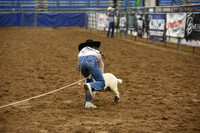 CASTEEL, SCOUTDSC_8094.JPG