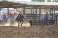 AMIOTTE, BREEZYDSC_6324.JPG