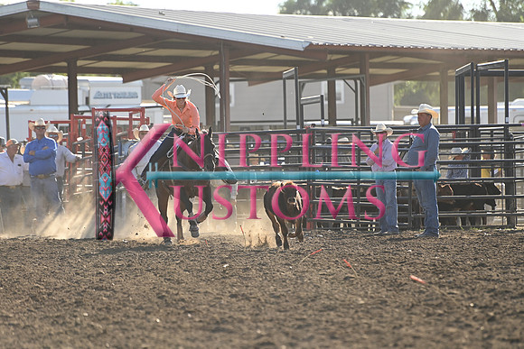 AMIOTTE, BREEZYDSC_6324.JPG