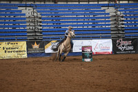 THAR, STACEYDSC_6435.JPG