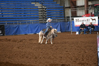 HENRY, BRUINDSC_0671.JPG