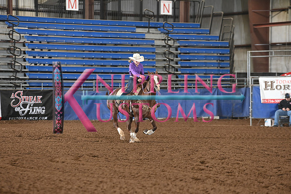 KITE, KEARSYNDSC_3468.JPG