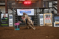 AHERN, ANNEDSC_4575.JPG