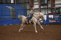 AHERN, ANNEDSC_4583.JPG