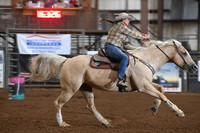AHERN, ANNEDSC_4585.JPG