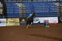SELL, SUEDSC_4365.JPG