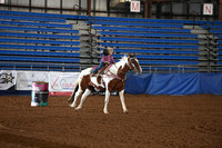 SADLER, HAZENDSC_8003.JPG
