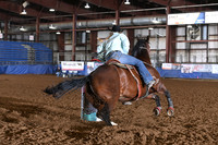 IOTT, STACYDSC_0650.JPG