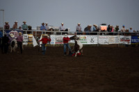Wild Pony RaceDSC_6087