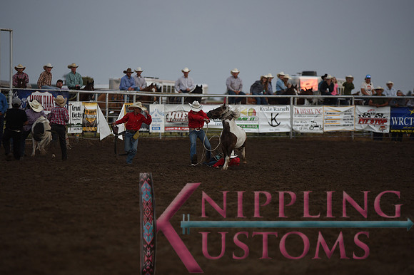 Wild Pony RaceDSC_6087