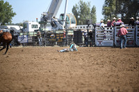 CARLSON, SYLARDSC_4234.JPG