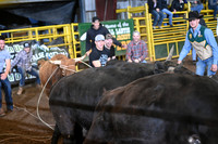 WILD STEER RIDINGDSC_6013.JPG