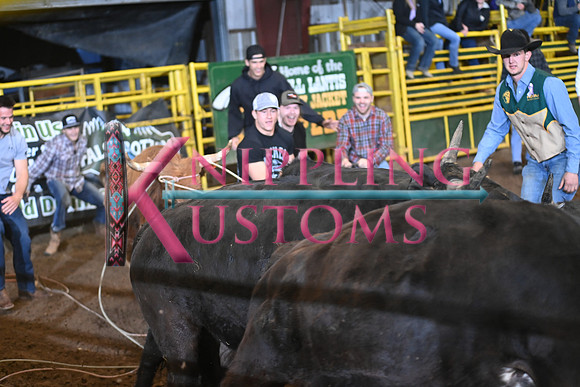 WILD STEER RIDINGDSC_6013.JPG
