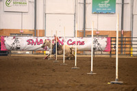 AAMOT, CANDICEDSC_5383.JPG