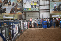 SCHEER, TALONDSC_3458.JPG